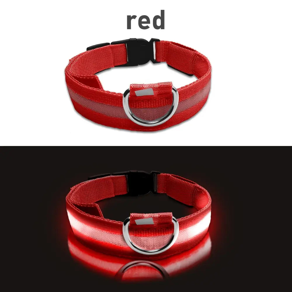 Adjustable LED Glow-in-the-Dark Dog Collar for Small to Medium Pets - Keep Your Furry Friend Safe & Visible During