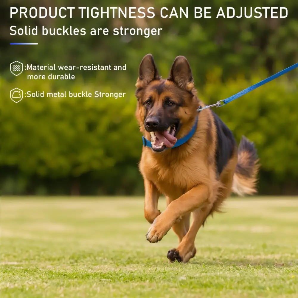 Adjustable LED Glow-in-the-Dark Dog Collar for Small to Medium Pets - Keep Your Furry Friend Safe & Visible During