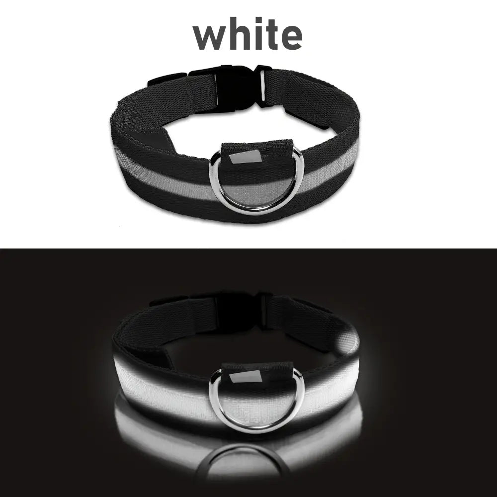 Adjustable LED Glow-in-the-Dark Dog Collar for Small to Medium Pets - Keep Your Furry Friend Safe & Visible During