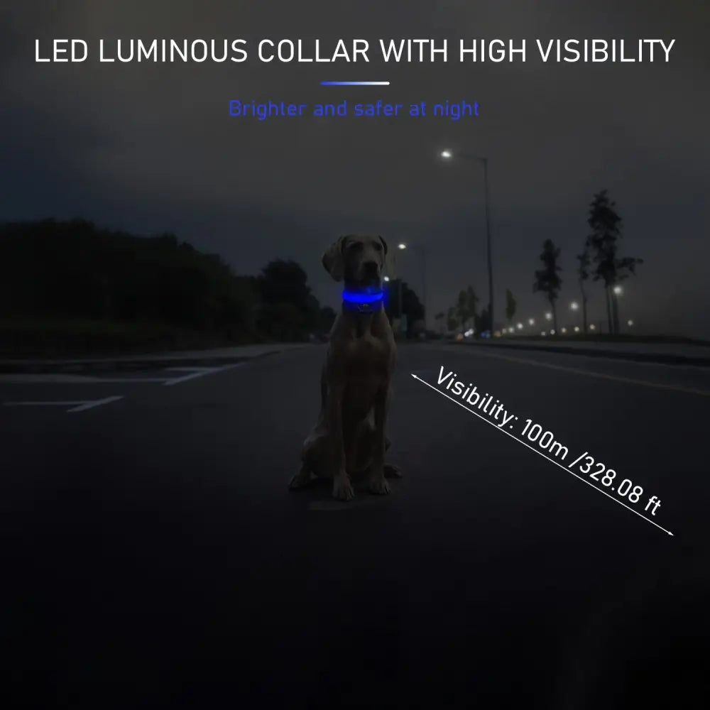 Adjustable LED Glow-in-the-Dark Dog Collar for Small to Medium Pets - Keep Your Furry Friend Safe & Visible During