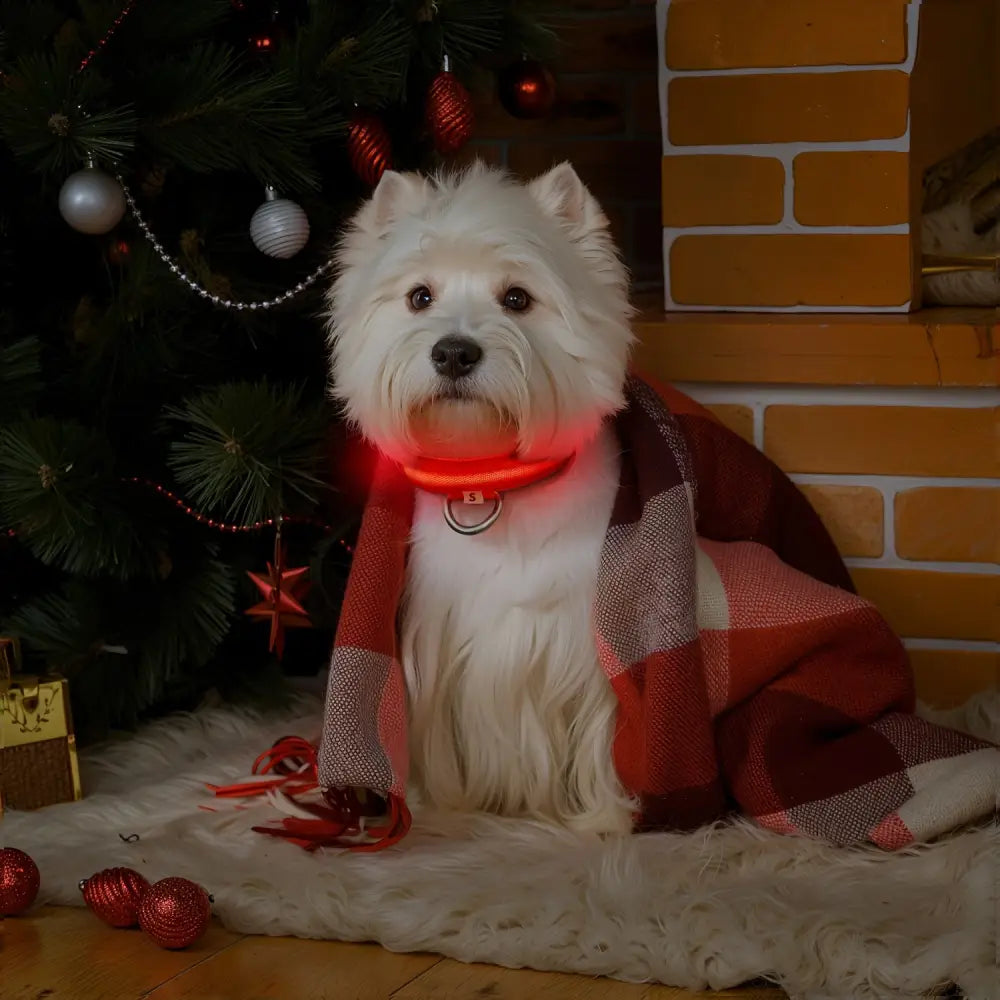 Adjustable LED Glow-in-the-Dark Dog Collar for Small to Medium Pets - Keep Your Furry Friend Safe & Visible During