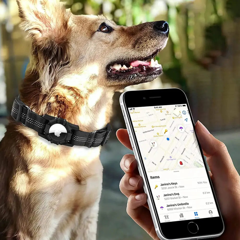 Apple Airtag Heavy Duty Dog Collar with Airtag Holder Case, Adjustable for Medium Large Dogs