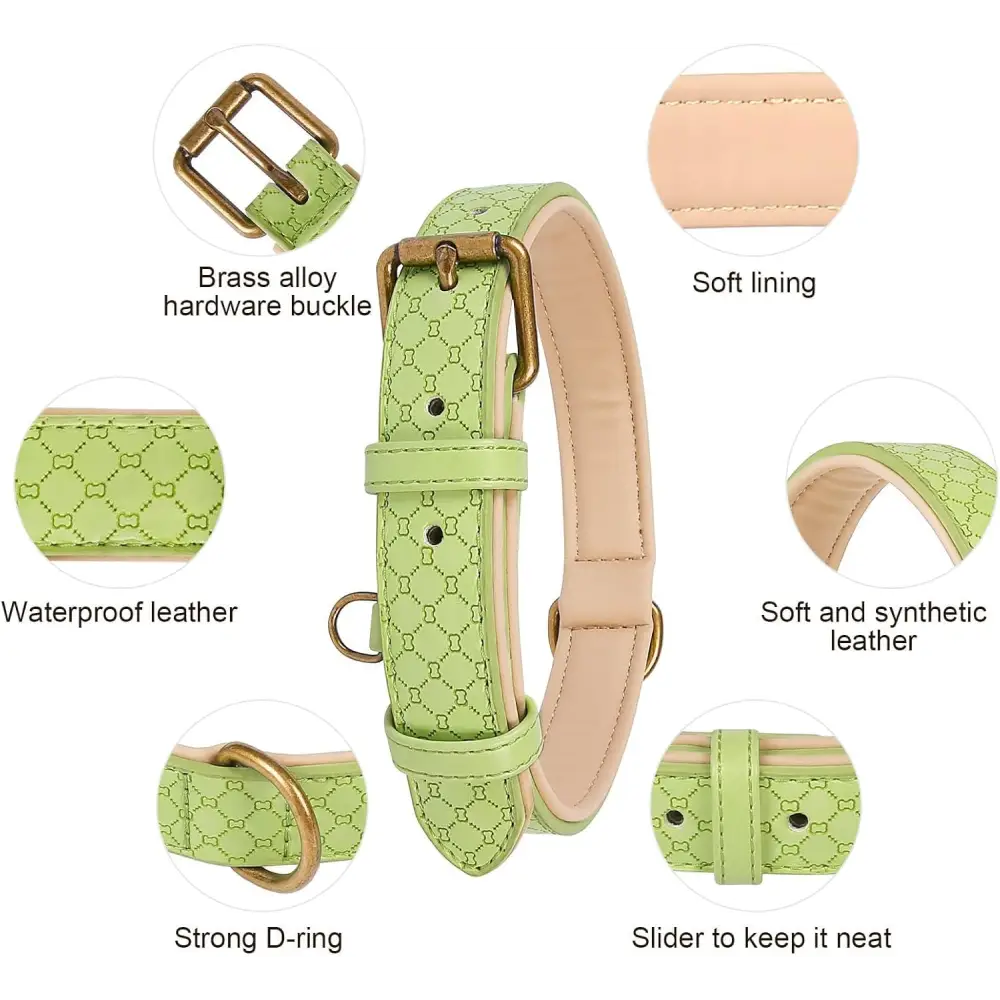 Basic Classic Luxury Padded Leather Dog Collar - Rust Proof Brass Strong Leather Collar Heavy Duty Alloy Hardware Best for Small, Medium, Large Dogs