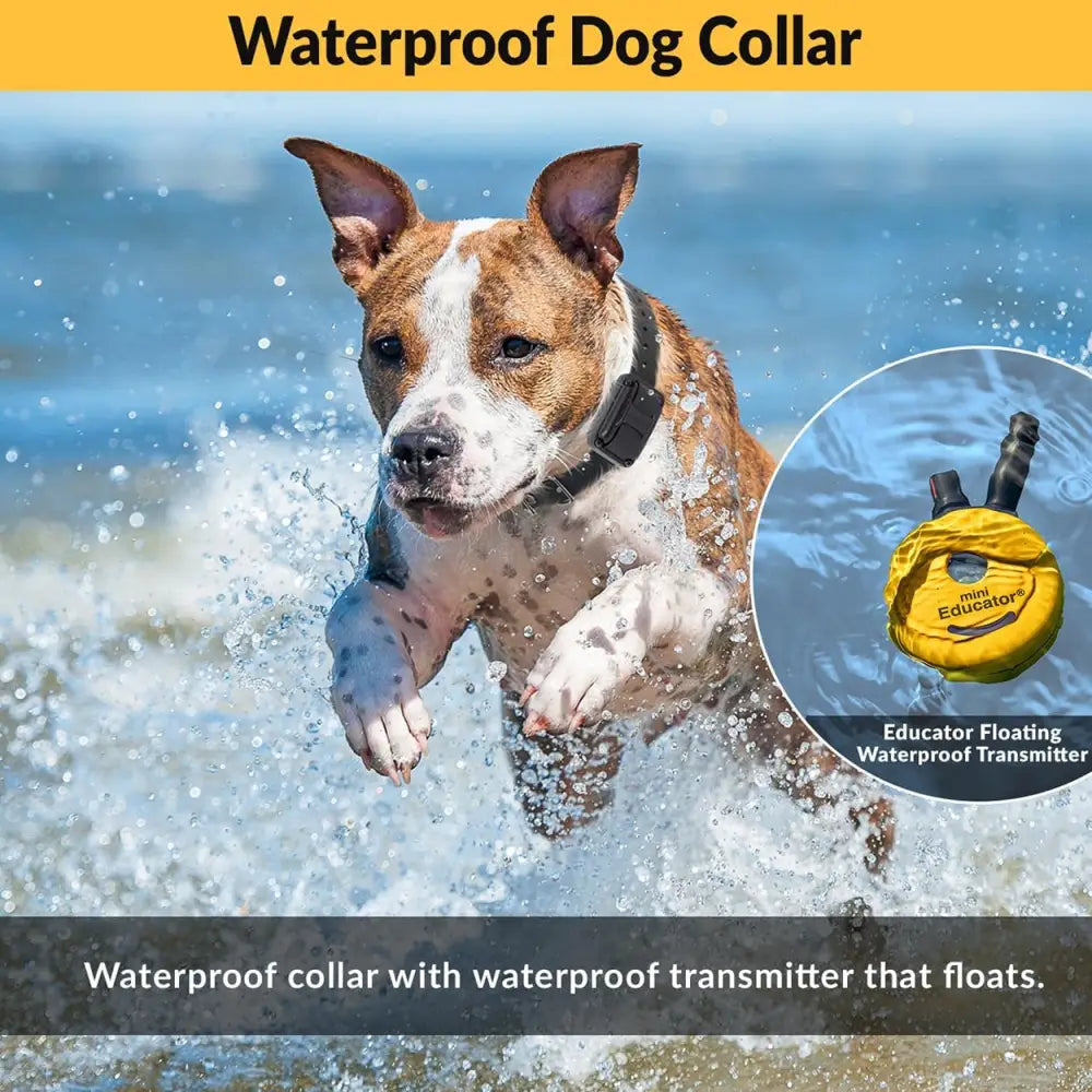 E-Collar Humane Dog Training Collar with Remote 100 Safe Tapping Stimulation Levels Night Light Waterproof Rechargeable