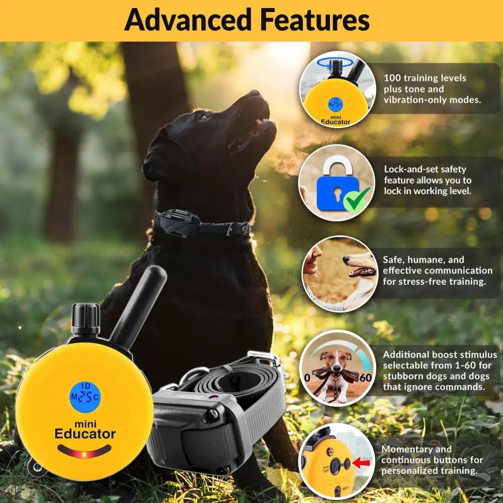 E-Collar Humane Dog Training Collar with Remote 100 Safe Tapping Stimulation Levels Night Light Waterproof Rechargeable