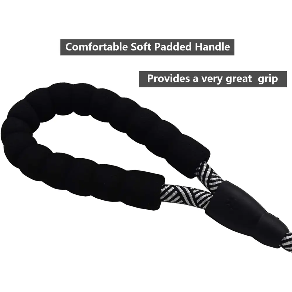Heavy Duty 10 FT Dog Leash with Comfortable Padded Handle - Reflective, Medium & Large Dogs, Black