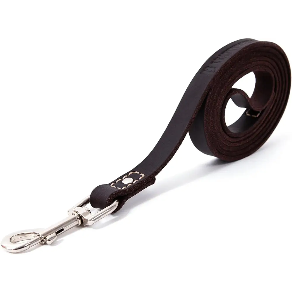 Leather Dog Training Leash - Brown 6 Foot X 3/4" Dog Walking Leash Best for Medium Large Dogs, Latigo Leather Dog Lead & Puppy Trainer Leash