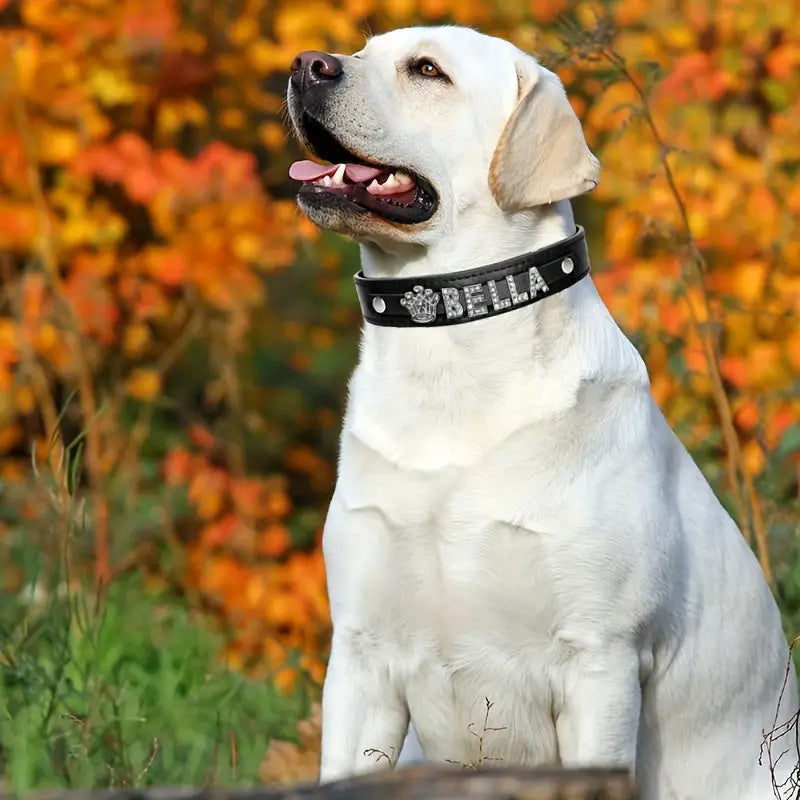 Personalized Dog Collar PU Leather Puppy Cat ID Collars With Rhinestone Heart Star Shaped Dog Accessory For Small