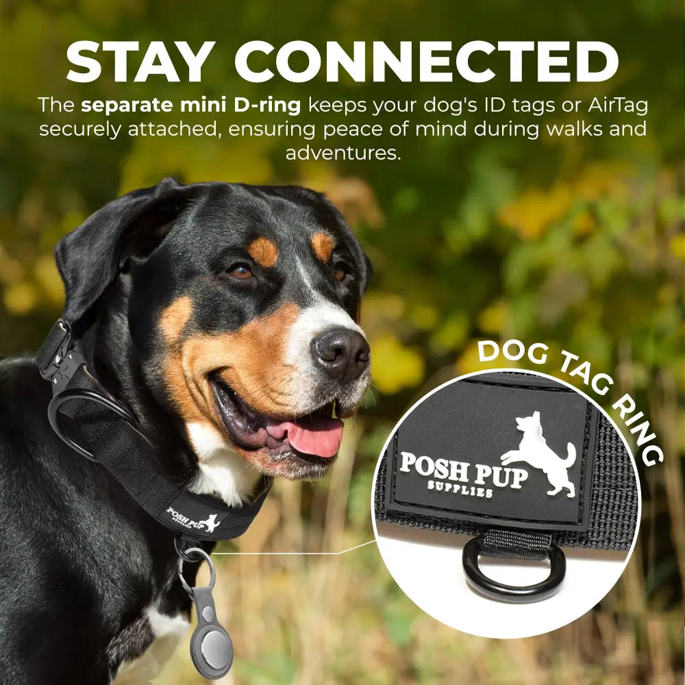 Posh Pup Supplies Dog Collar - Heavy Duty Quick Release Buckle - Dog Collar