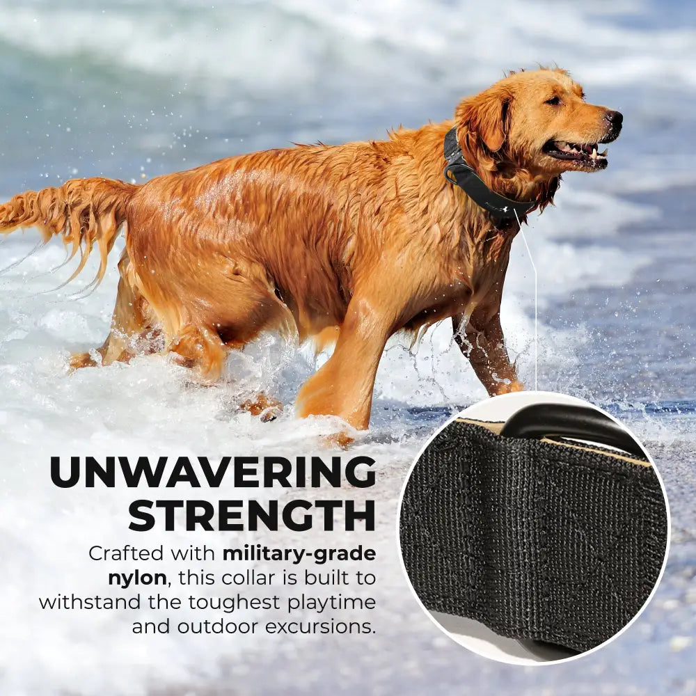 Posh Pup Supplies Dog Collar - Heavy Duty Quick Release Buckle - Dog Collar