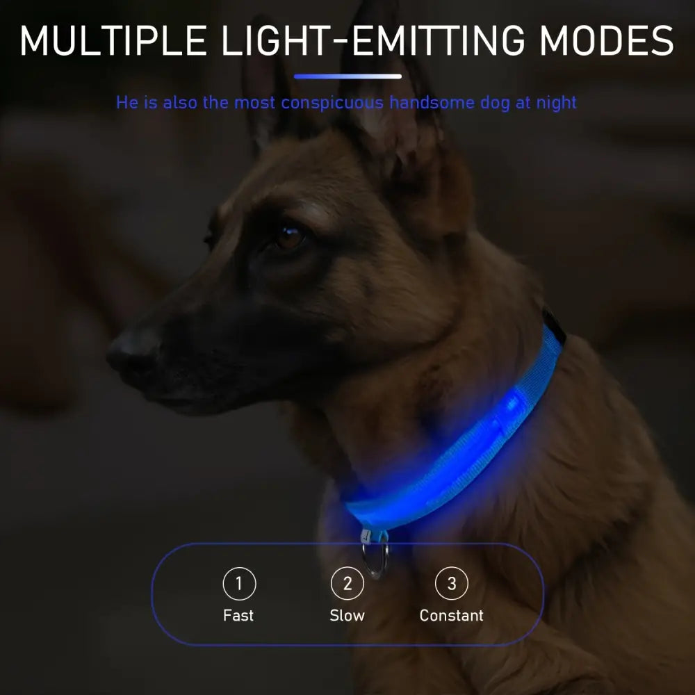 Adjustable LED Glow-in-the-Dark Dog Collar for Small to Medium Pets - Keep Your Furry Friend Safe & Visible During