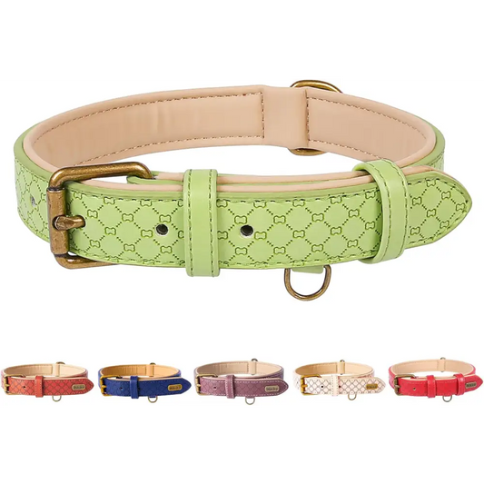 Basic Classic Luxury Padded Leather Dog Collar - Rust Proof Brass Strong Leather Collar Heavy Duty Alloy Hardware Best for Small, Medium, Large Dogs
