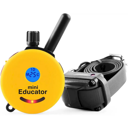 E-Collar Humane Dog Training Collar with Remote 100 Safe Tapping Stimulation Levels Night Light Waterproof Rechargeable