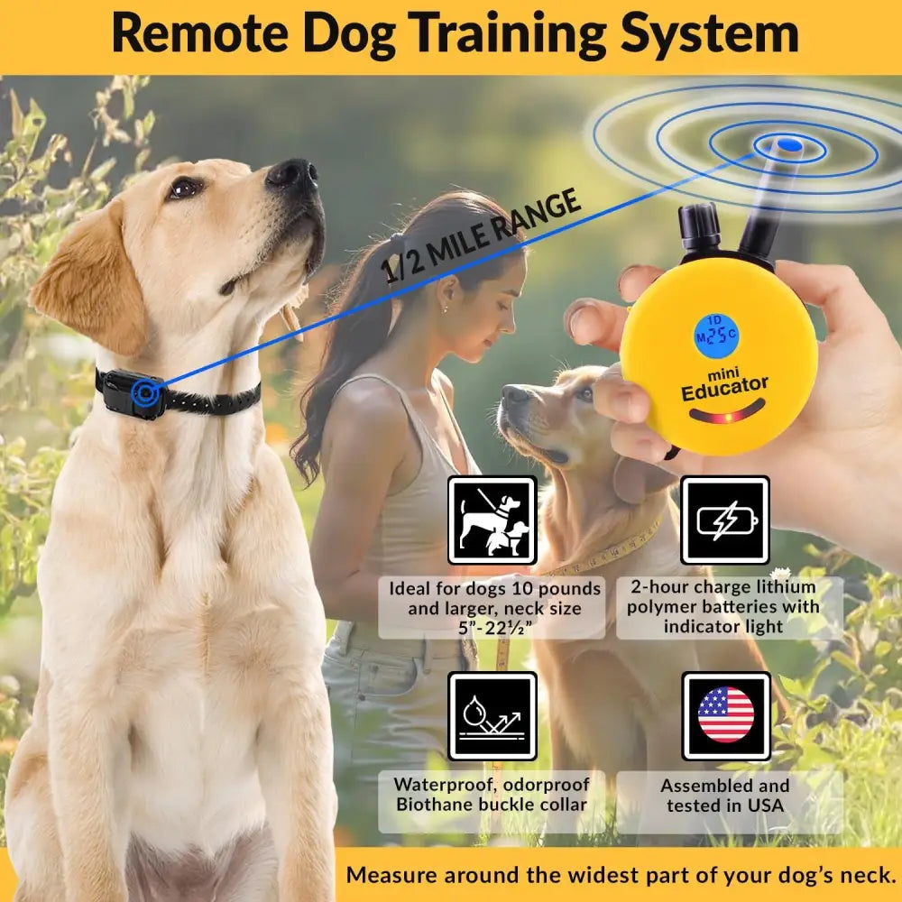E-Collar Humane Dog Training Collar with Remote 100 Safe Tapping Stimulation Levels Night Light Waterproof Rechargeable