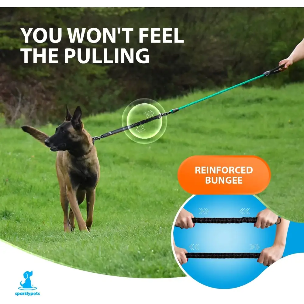 Heavy Duty Rope Bungee Leash for Large and Medium Dogs with Anti-Pull for Shock Absorption - No Slip Reflective Leash for outside (Teal, Bungee Leash- 5.5 Ft)