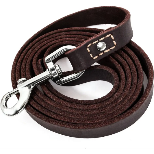 Leather Dog Training Leash - Brown 6 Foot X 3/4" Dog Walking Leash Best for Medium Large Dogs, Latigo Leather Dog Lead & Puppy Trainer Leash